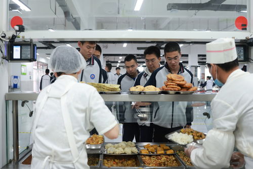 河北定興 智慧監(jiān)管筑牢校園食品安全防線，企業(yè)管理咨詢助力長效提升